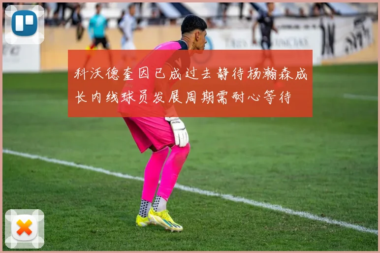 科沃德奎因已成过去静待杨瀚森成长内线球员发展周期需耐心等待