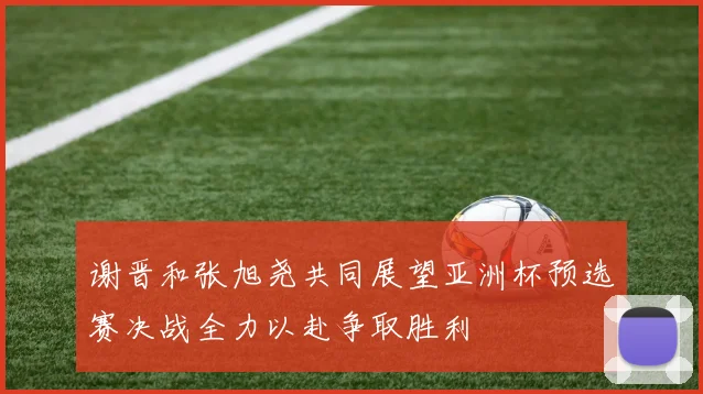 谢晋和张旭尧共同展望亚洲杯预选赛决战全力以赴争取胜利