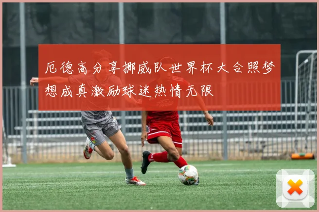 厄德高分享挪威队世界杯大合照梦想成真激励球迷热情无限