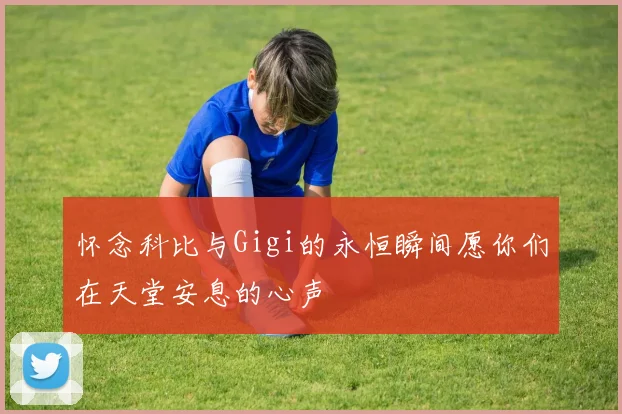 怀念科比与Gigi的永恒瞬间愿你们在天堂安息的心声