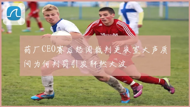 药厂CEO赛后怒闯裁判更衣室大声质问为何判罚引发轩然大波